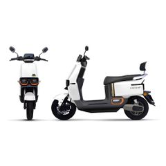 E-Rider 2025 TAILG F52 LEAD ACID 25km/h