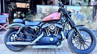 Harley Davidson Sportster 883 2010 Iron