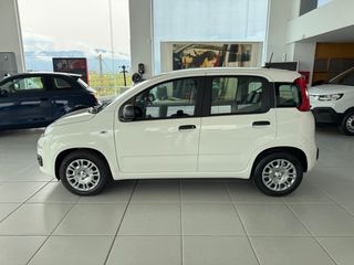 Fiat Panda 2026 ICON Hybrid-thumb-4