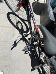Mountain Bullet 2022 stone