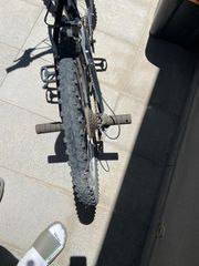 All - Mountain Bullet 2022 stone-thumb-3