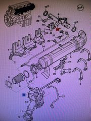 EGR DAF XF CF 2412200RN-thumb-3