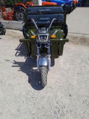 Eborn Cargocat 2 2025 F-thumb-1