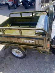 Eborn Cargocat 2 2025 F-thumb-5