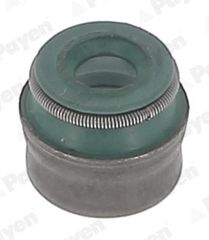 ΤΣΙΜ. ΒΑΛΒΙΔΩΝ AUDI-BMW-CITROEN-DAEWOO  PAYEN PAYEN PA5041