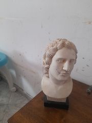 ΠΡΟΤΟΜΗ ΜΕΓΑΛΟΥ ΑΛΕΞΑΝΔΡΟΥ 30 cm