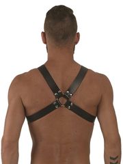 Mister B Leather Y-Front Harness-thumb-1