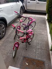 Άλλο Orient 2018 Tiger