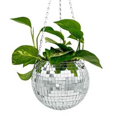FUNKY DISCO PLANTER / Gadgets-thumb-1