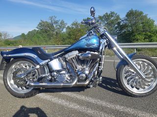 Harley Davidson Softail Standard 2006 Customised