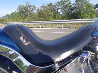 Harley Davidson Softail Standard 2006 Customised-thumb-2