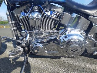 Harley Davidson Softail Standard 2006 Customised-thumb-9