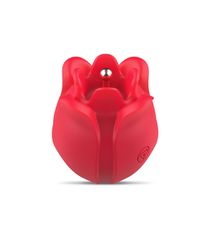 Diversual Vibrator Kaly High Precision-thumb-7