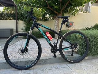All - Mountain Bachini 2020 BIANCHI DUEL S