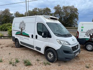 Fiat 2014 DUCATO