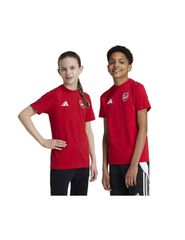 Adidas Arsenal London Tee Jr IT4095