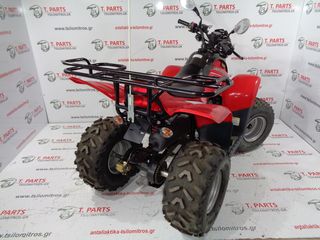 Dinli Beast 2009 50cc-thumb-3