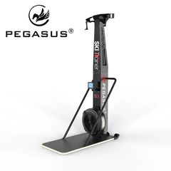 Επαγγελματική Αέρος Ski Trainer S3 Pegasus