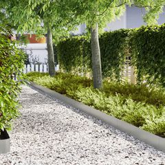 Περίγραμμα γκαζόν 50 pcs 100 x 0.05 x 20 εκ Ασημί 3335779
