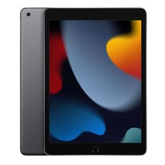 iPad 10.2 (2021) 9 gen Space Gray (64 + 256 GB) (Grade A) Spacegrey
