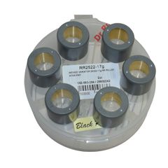 ΜΠΙΛΙΕΣ VARIATOR 25Χ22 17g RR PULLEY ΑΠΛΑ 6ΜΠ