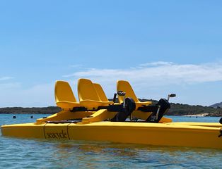 Ποδήλατα Θαλάσσης 2026 SEA CYCLE MADE IN USA ΑΠΟ 1350 ΕΥΡΩ-thumb-3