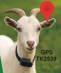 GPS για κατσίκια πρόβατα και κατοικίδια - Αδιάβροχη φορητή συσκευή εντοπισμού GPS 4G με κολάρο 3.000 mha TK 2539 4G