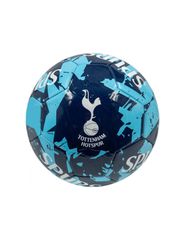 Football Tottenham Hotspur 70098224