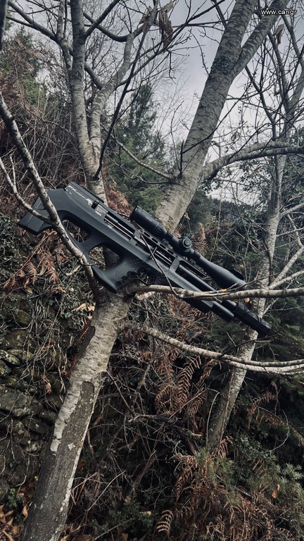 FX Wildcat MK1 0.22 5.5mm