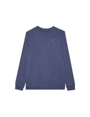 Sweatshirt 4F M1767 M 4FWMM00TSWSM1767 32S