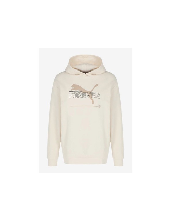 Puma FD Ess Btr M sweatshirt 673293 99