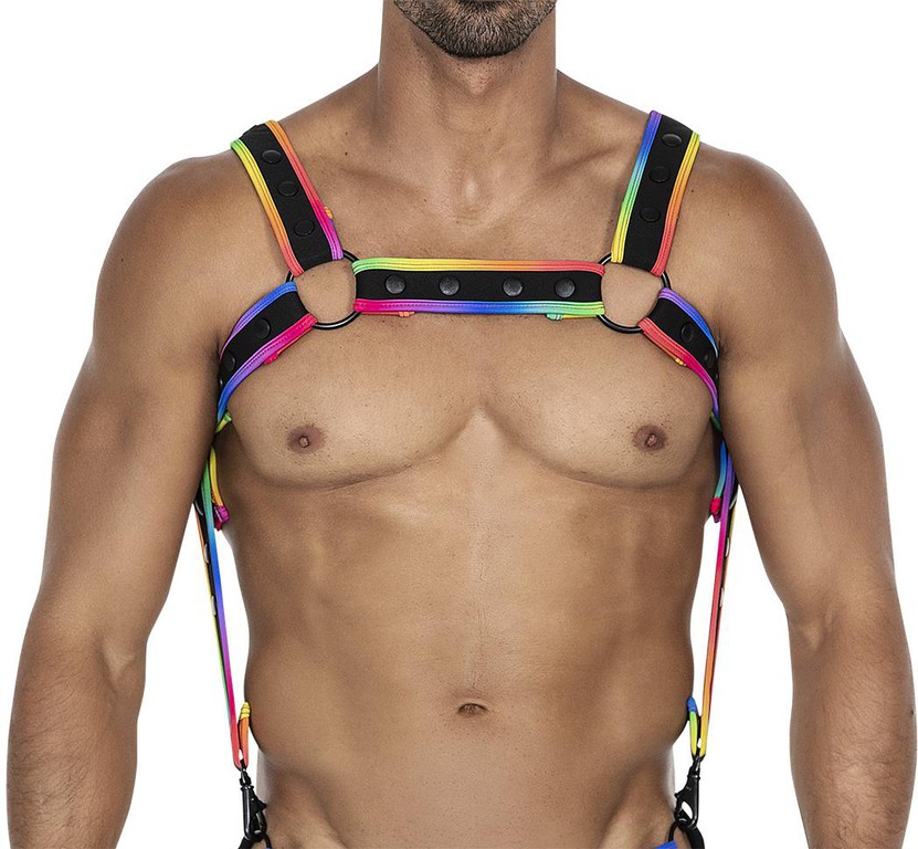 Neo Harness Black-Rainbow OS