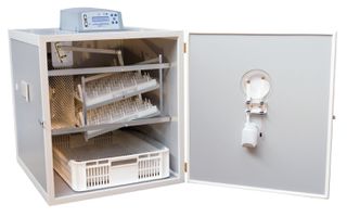 Εκκολαπτική μηχανή, αυτόματη, FIEM 'MG 144-216 Μercurius', ξύλινα τοιχώματα Κωδικός Προϊόντος:07.36.065