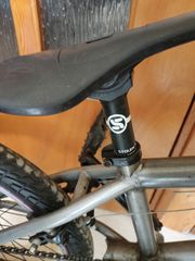 BMX 2020 Stolen-thumb-6