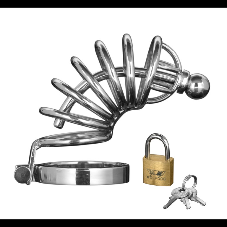 Asylum - 6 Ring Chasity Cage