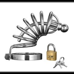 Asylum - 6 Ring Chasity Cage