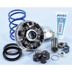 Βαριατορ Evolution 2 Ø16/12.5° Gilera Ice, Typhoon, Runner, Vespa, Nrg, Zip 50, Vespa, Scarabeo, Sr 50 241.749 | Polini
