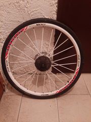 Ζαντολαστιχα