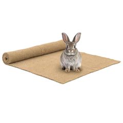 Στρώμα κάνναβης για τρωκτικά 1x1 m 5 mm