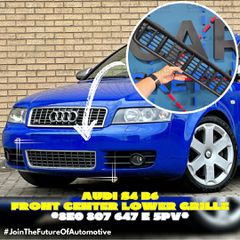 Audi S4 B6 Εμπρός Κάτω Κεντρική Γρίλια * 8E0 807 647 E 5PV *