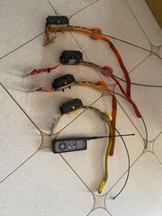 Gps σκυλων