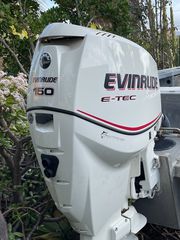 Evinrude 2008 e-tec