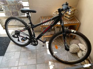 Trail/All-Mountain Everest 2024 Maveric