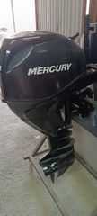 MERCURY 25 EFI 2012