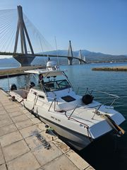 Sea 2020 SEA CAT SL 5C