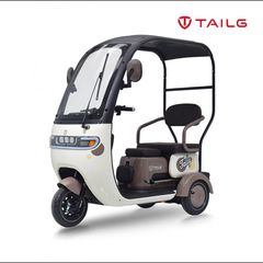 Erider Cargo 2025 Τρίκυκλο TAILG X4