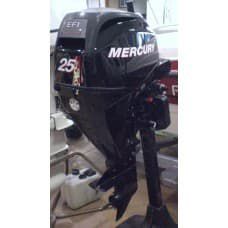Mercury 2010 25 EFI