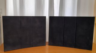 Ηχεία B&O RL 60.2 Type 6513