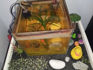 Ενυδρείο wave