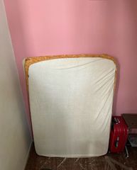 Στρώμα ανατομικό